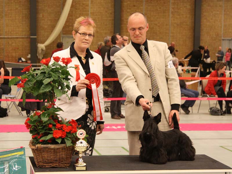 2010-05-02_dkk_big.jpg