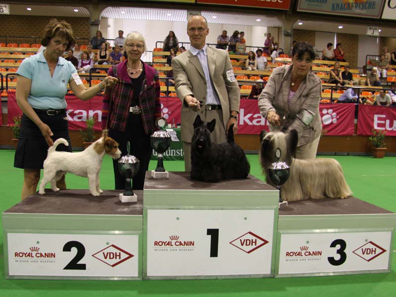 2010-06-06_vdh_neumun_big.jpg