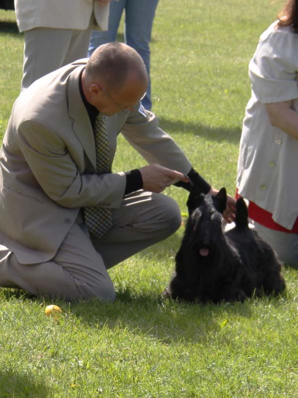 2010-06-27_dtk_huffle-2.jpg