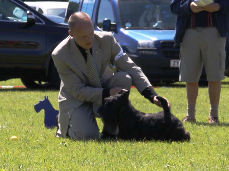 2010-06-27_dtk_huffle-4.jpg