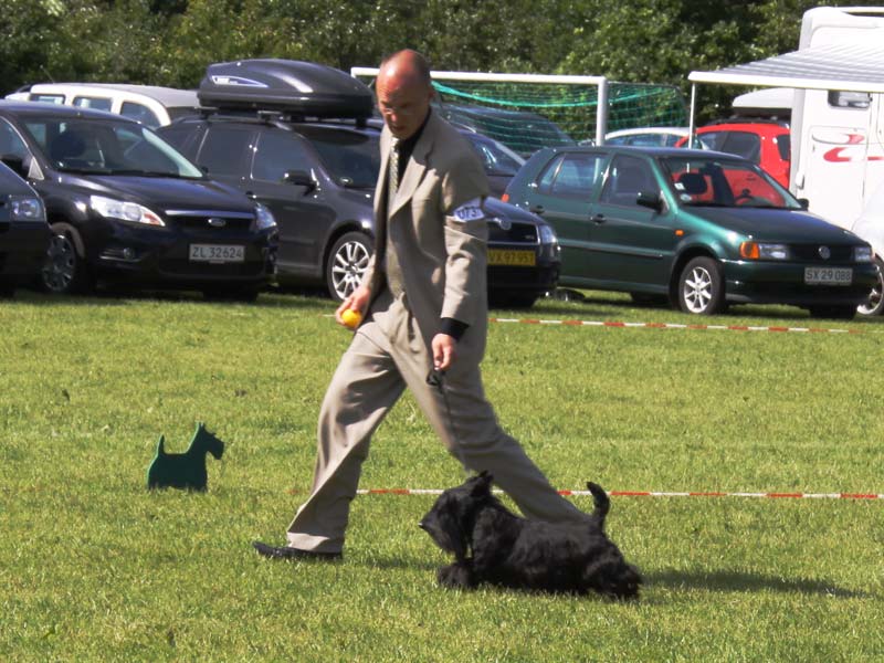 2010-06-27_dtk_huffle-i-rin.jpg