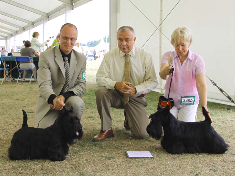 2010-07-02_windsor_bob-b.jpg