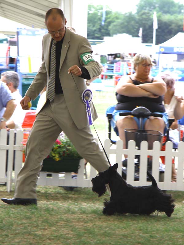 2010-07-02_windsor_ozone-gr.jpg