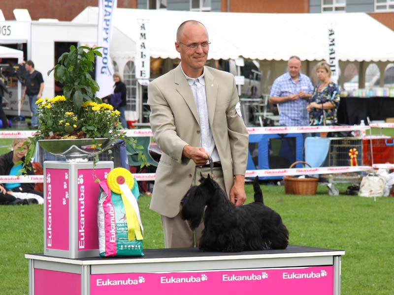 2010-08-14_dkk_vejen_big3.jpg