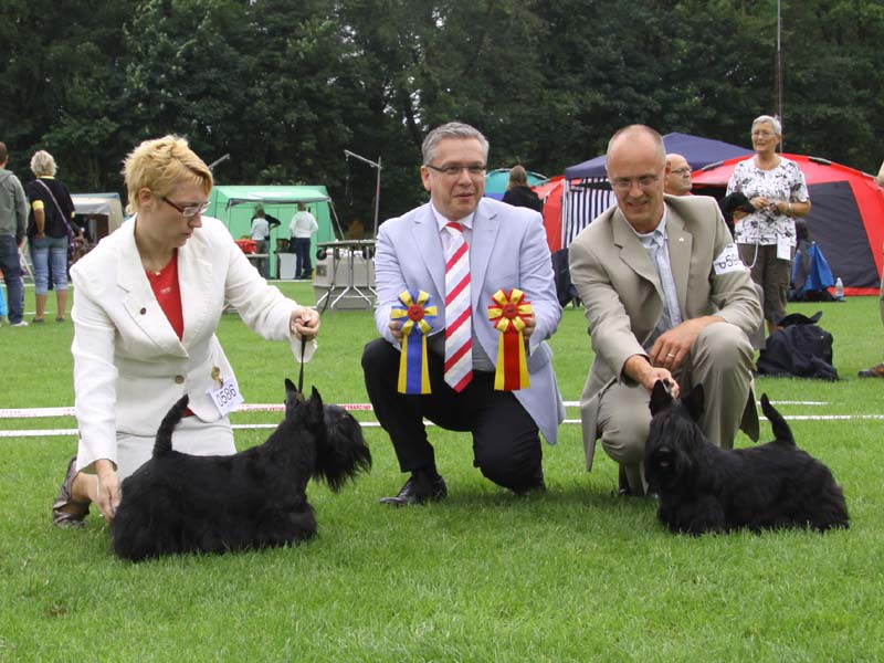 2010-08-14_dkk_vejen_bob.jpg