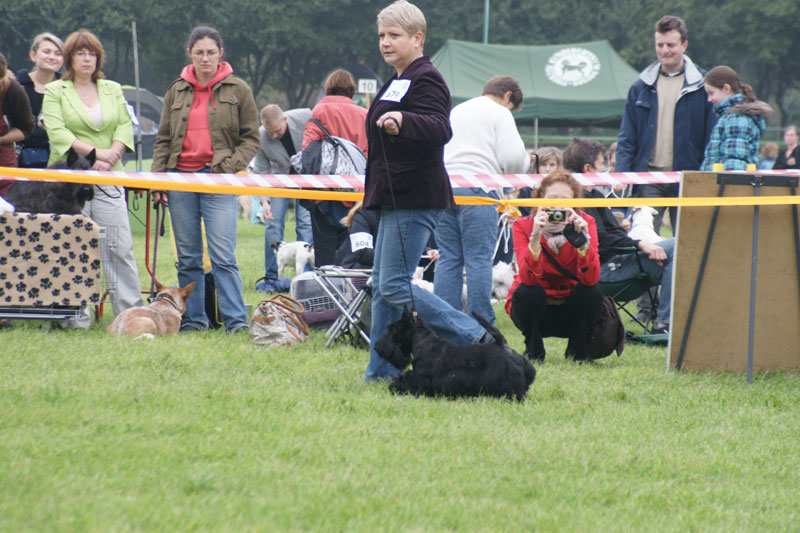 2010-09-11_sean_bis5_pup.jpg