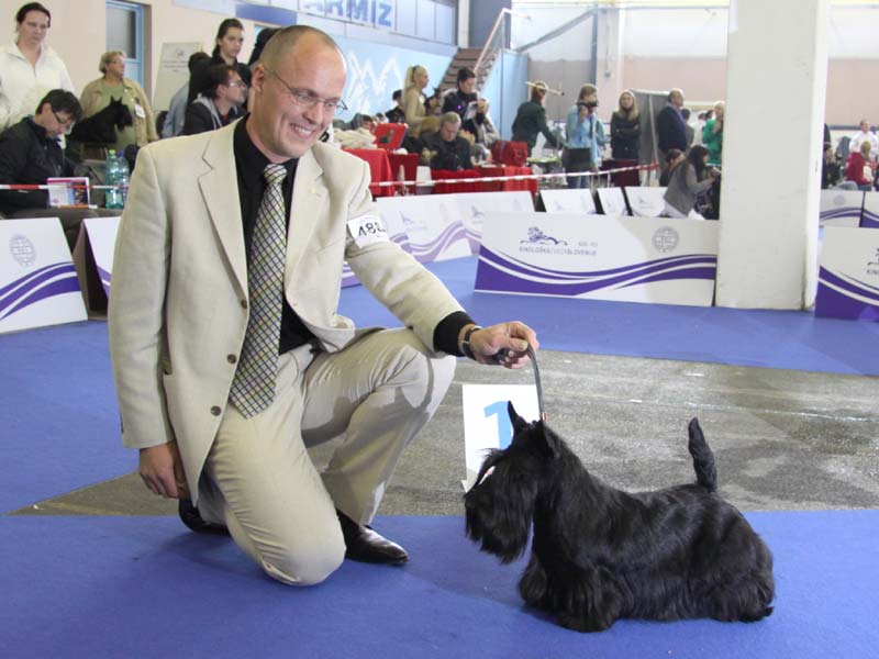 2010-10-01_eds10_ew10-a.jpg