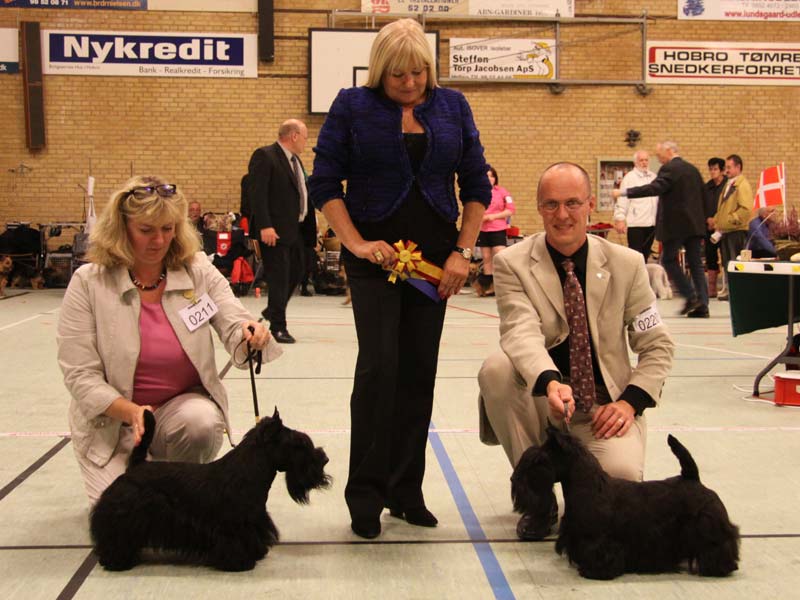 2010-10-17_dtk_hobro_bir.jpg