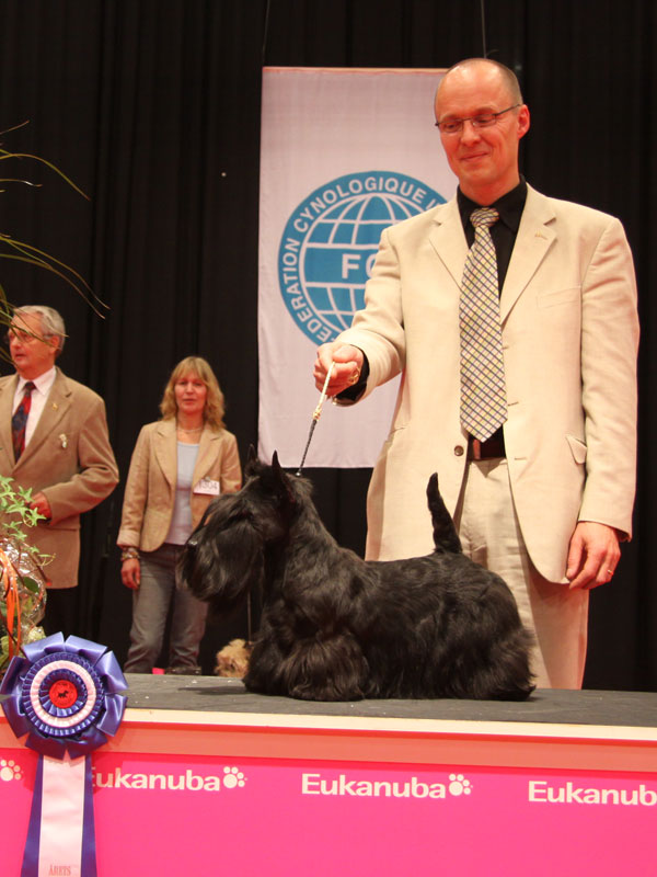 2010-11-07_aarets_hund2.jpg