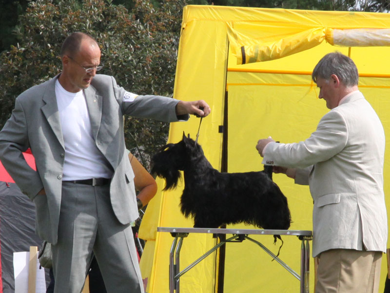 2011-08-21_bik3_tamer.jpg