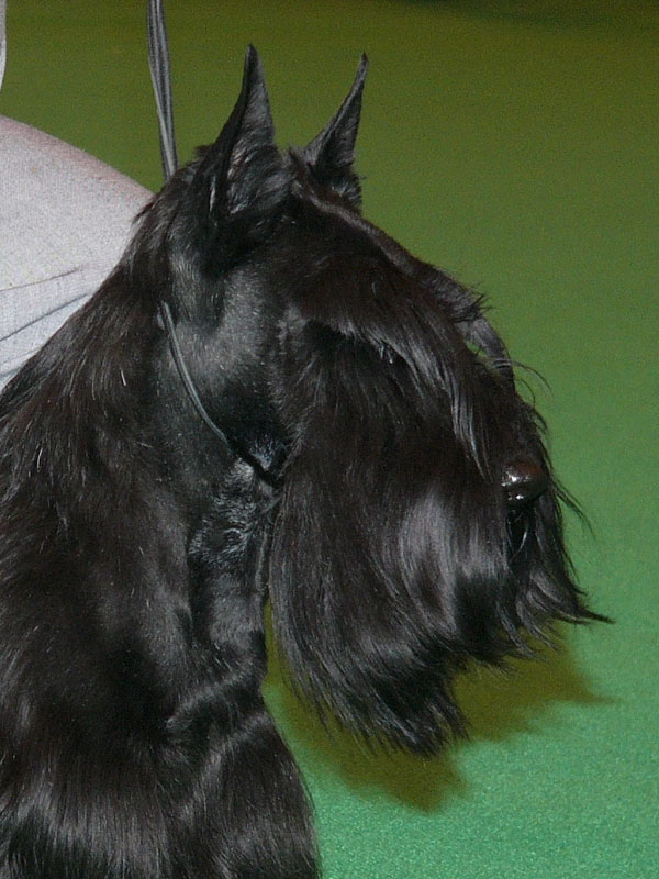 2011-10-22_william_c.jpg