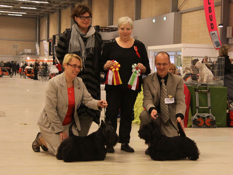 2011-11-06_dkk_bos.jpg