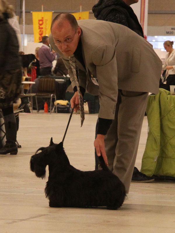 2011-11-06_dkk_william_cc.jpg
