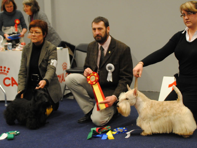 2012-01-07_bir_bim_my-dog.jpg