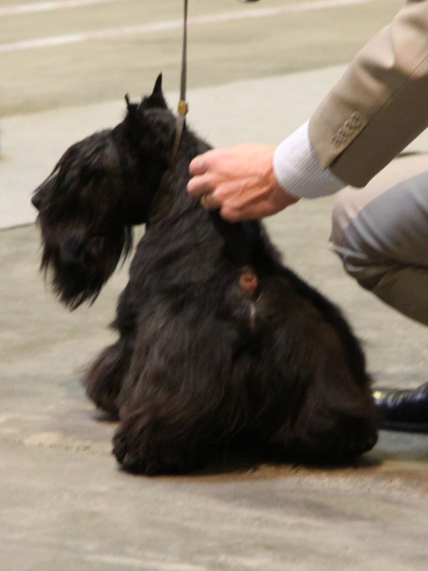 2012-02-11_william-bum.jpg