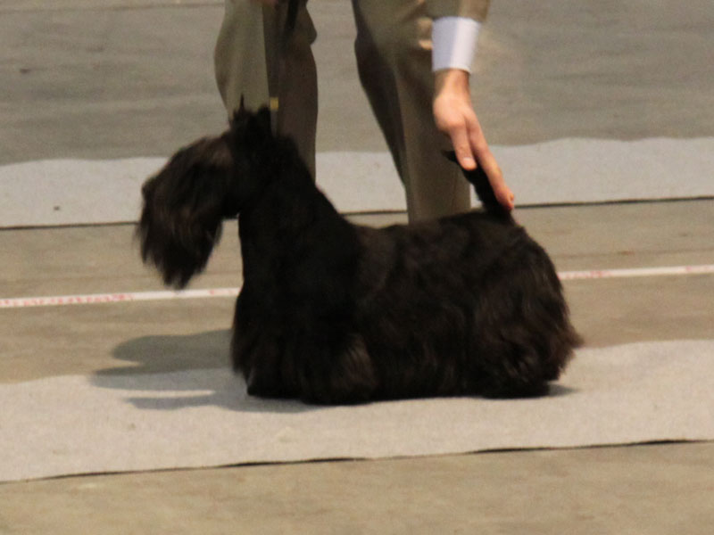 2012-02-11_william-profile.jpg