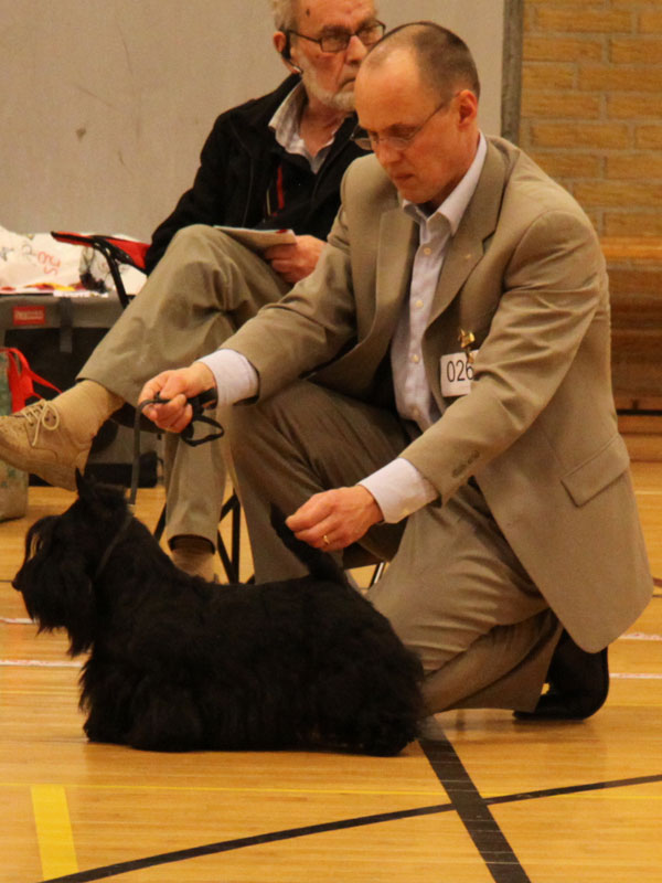 2012-02-12_dtk_perpetua.jpg
