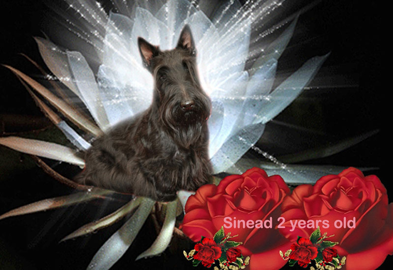2012-02-17_sinead-2-year.jpg