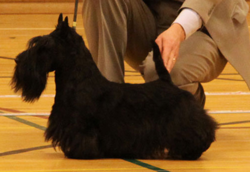 2012-02-20_william-a.jpg